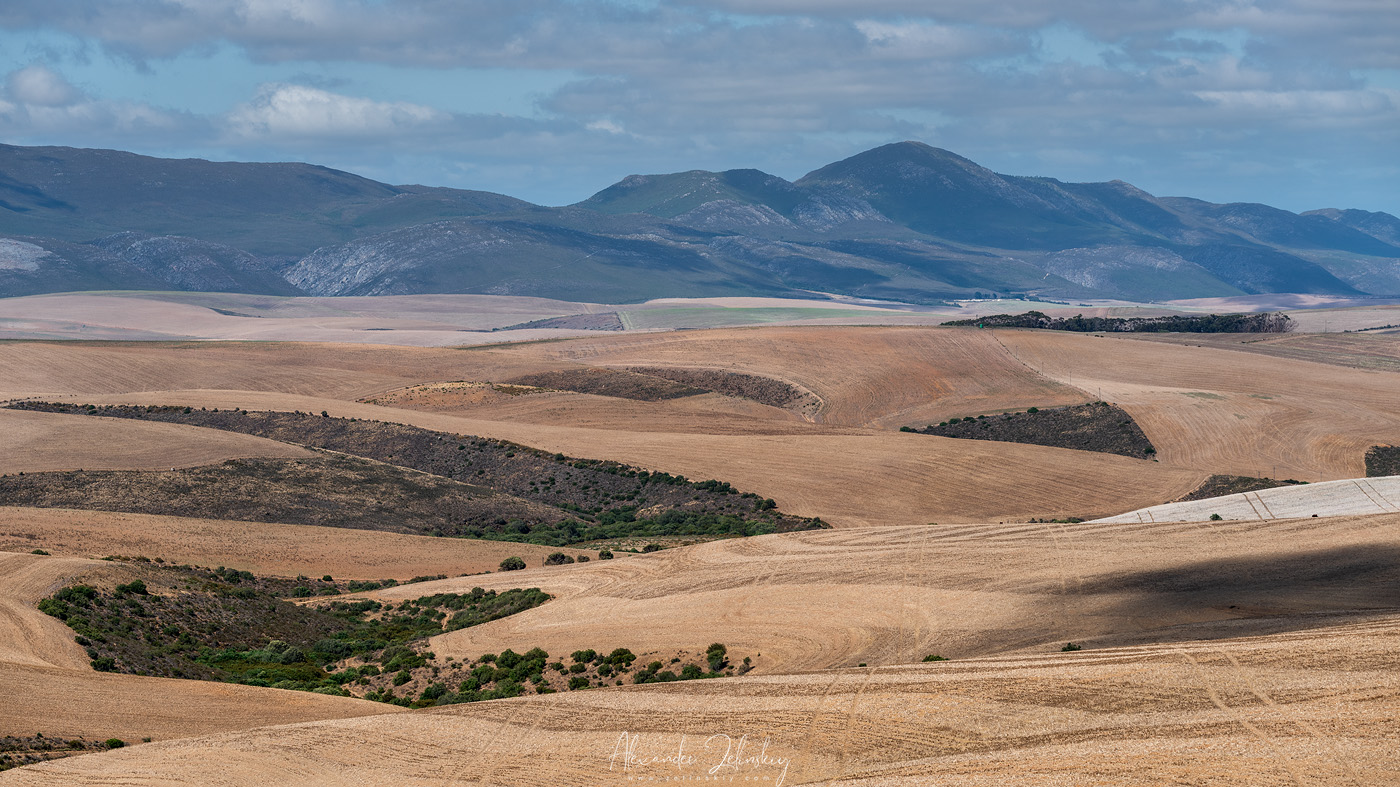 Полуденный зной на холмах