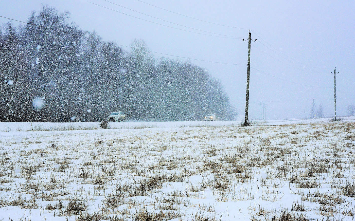 "Белых мух холодных стая все вокруг заволокла..."
