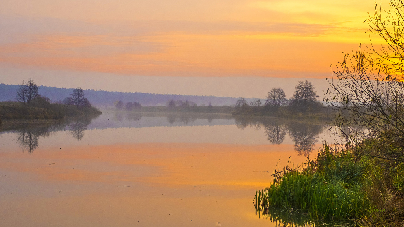 В туманной дымке.