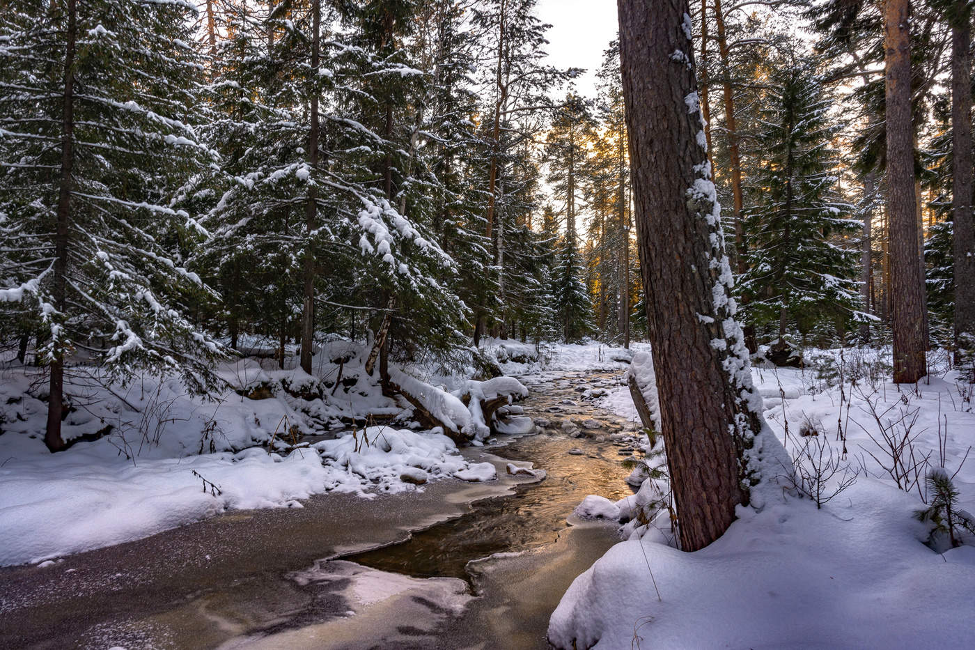 Вечерний свет