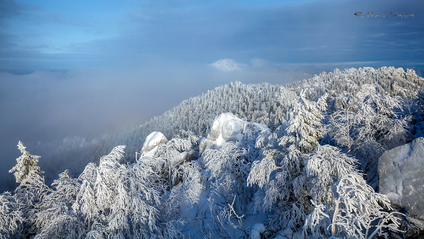 Морозное утро