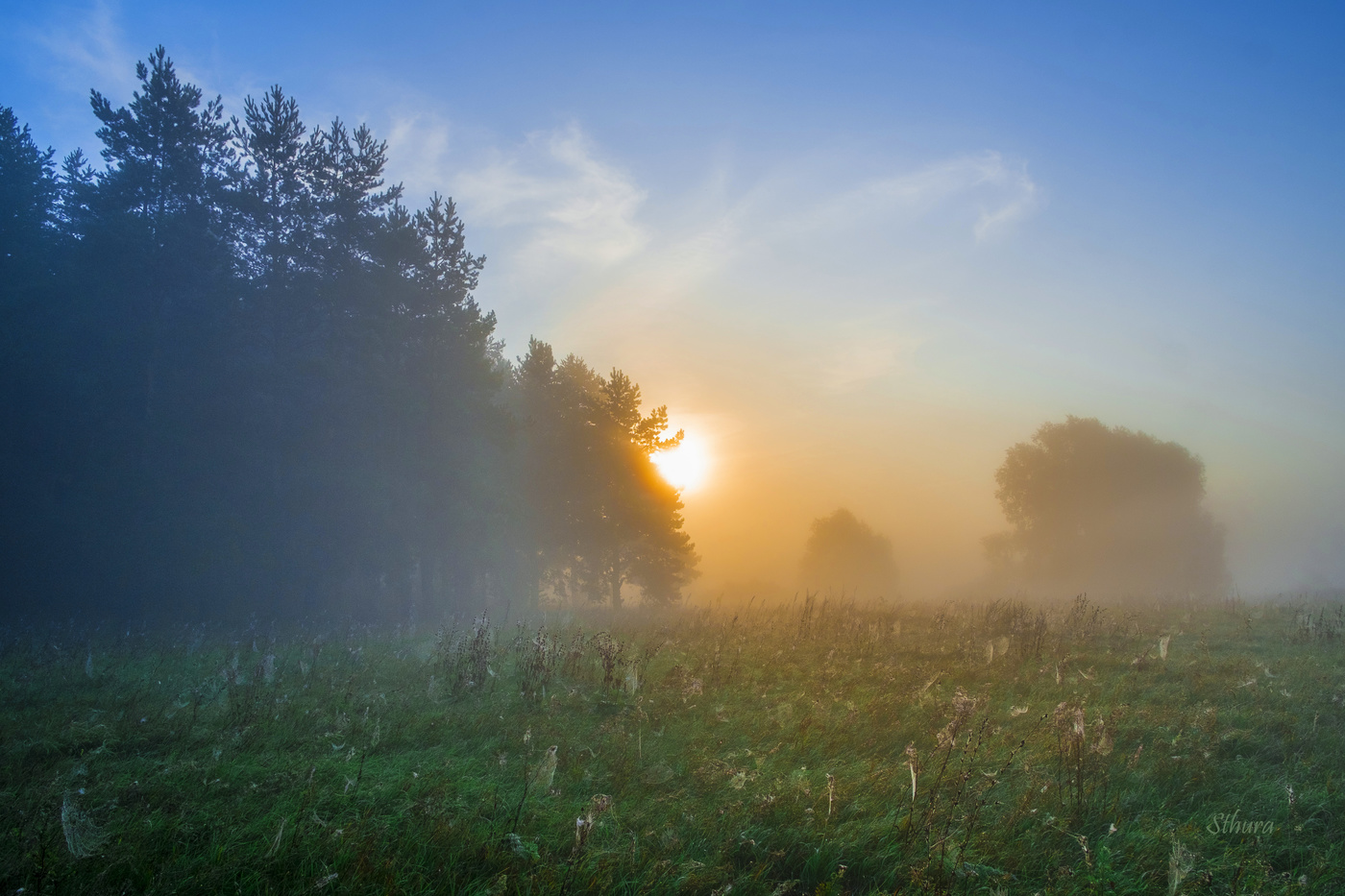 Туман во время рассвета.