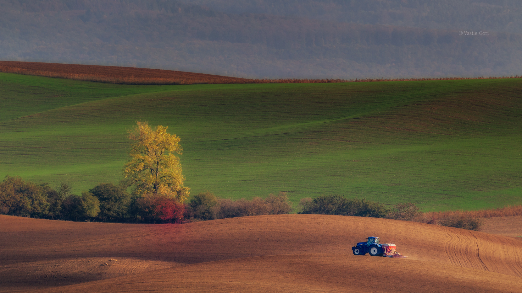 Wavy autumn fields