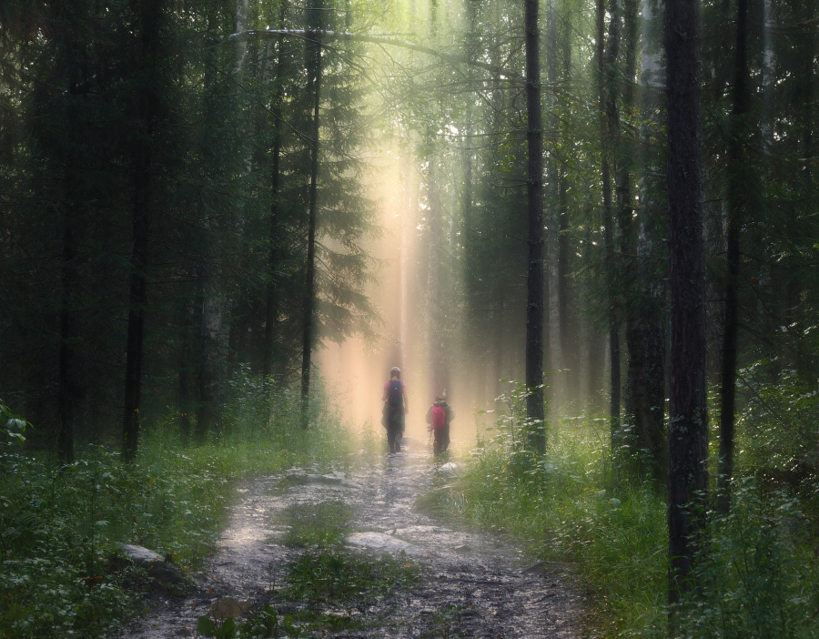 Двое в лесу