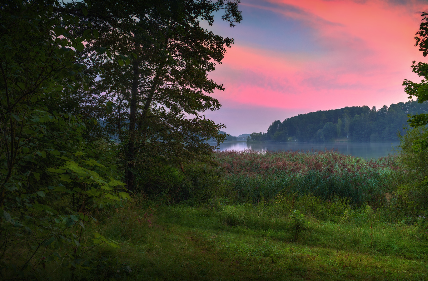 Предрассветная