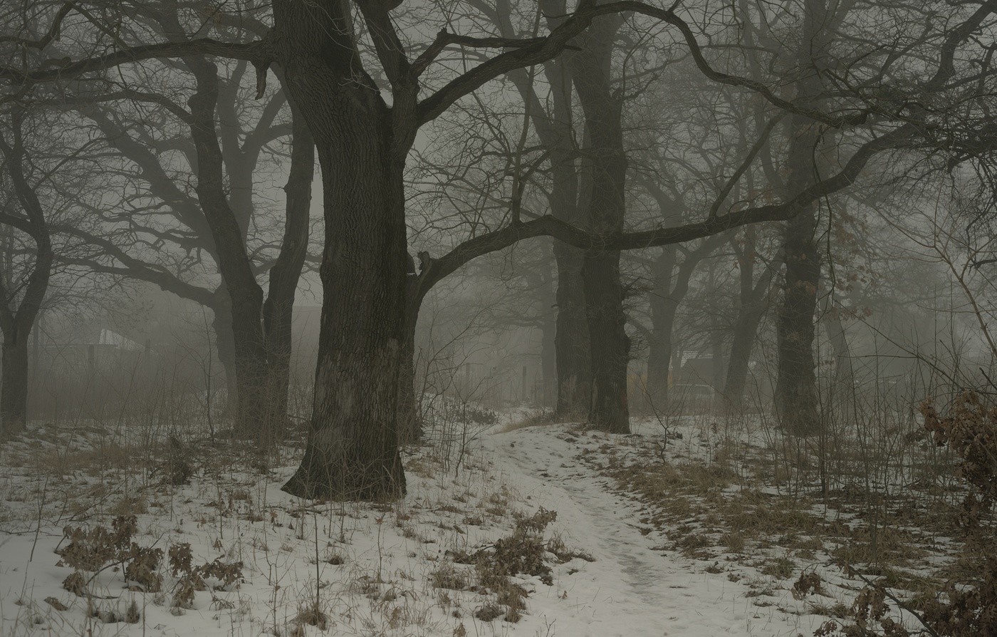 Туманное утро