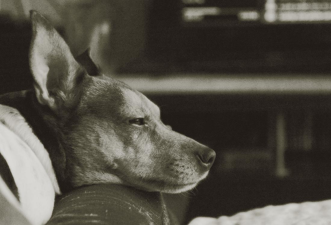 тут подумаешь