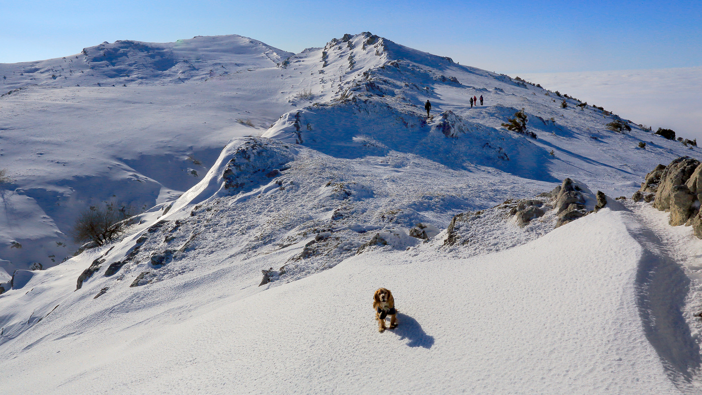 На верхнем плато Чатыр-Дага