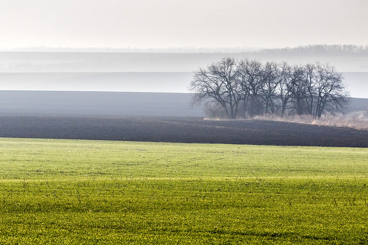 Весенние горизонты
