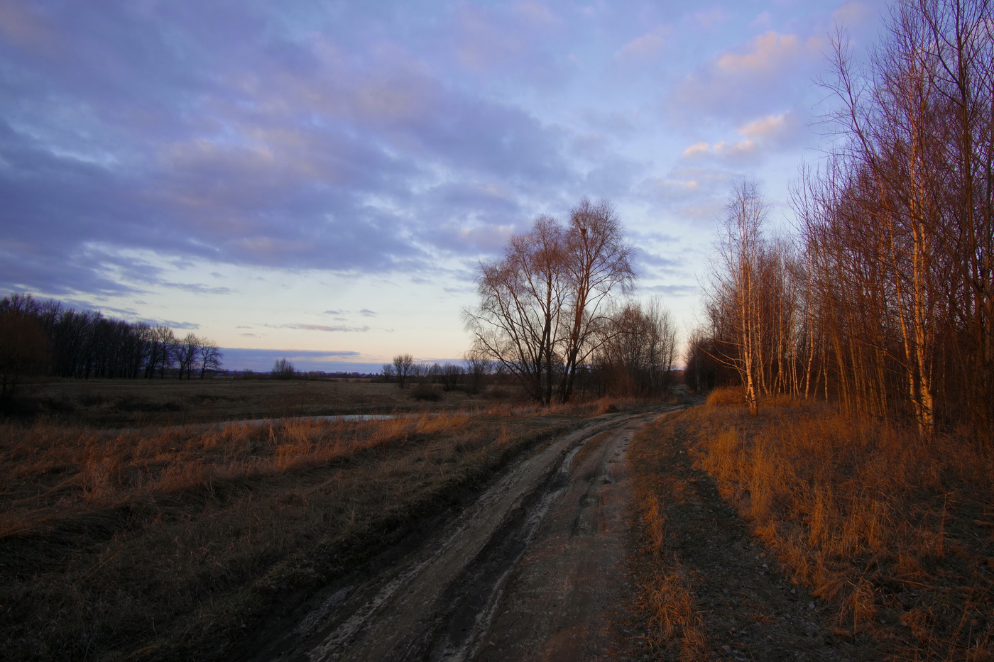 Вечер марта.