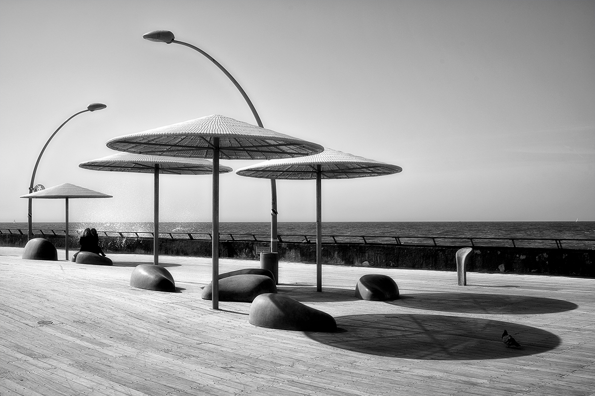 Грибы и брызги