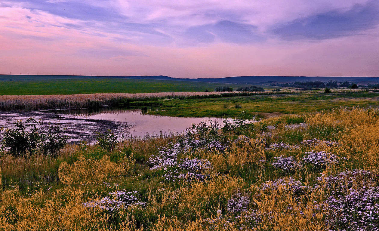 Весенняя степь