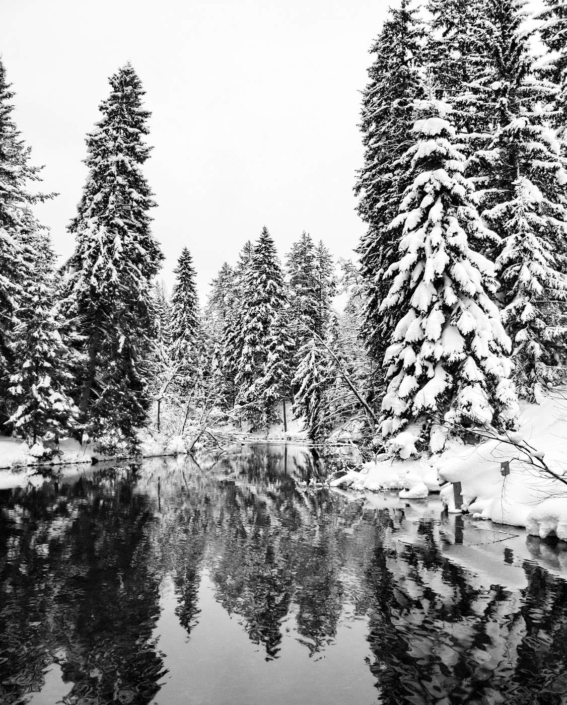 Валдайский этюд