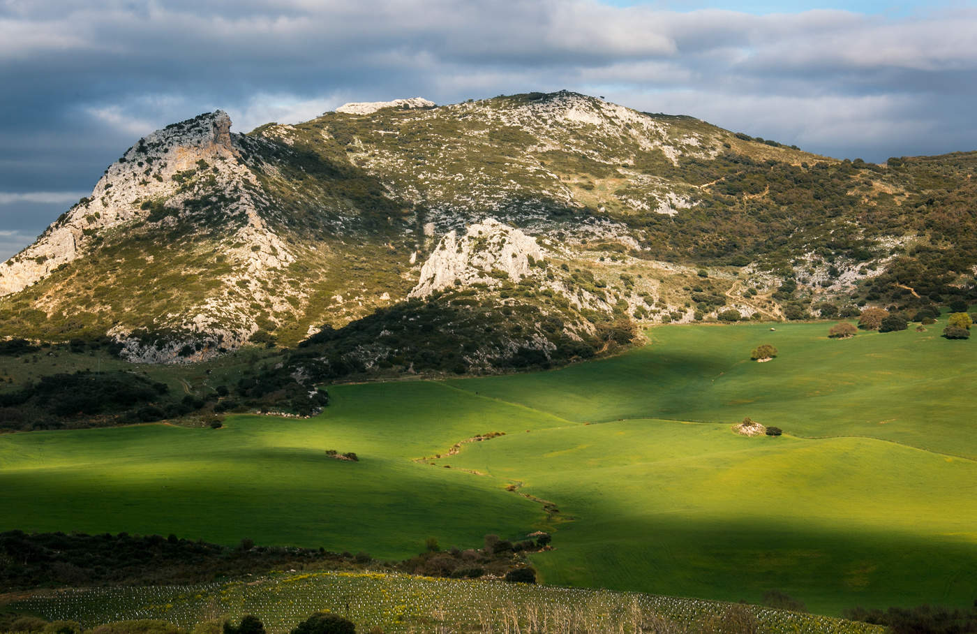 Горный пейзаж