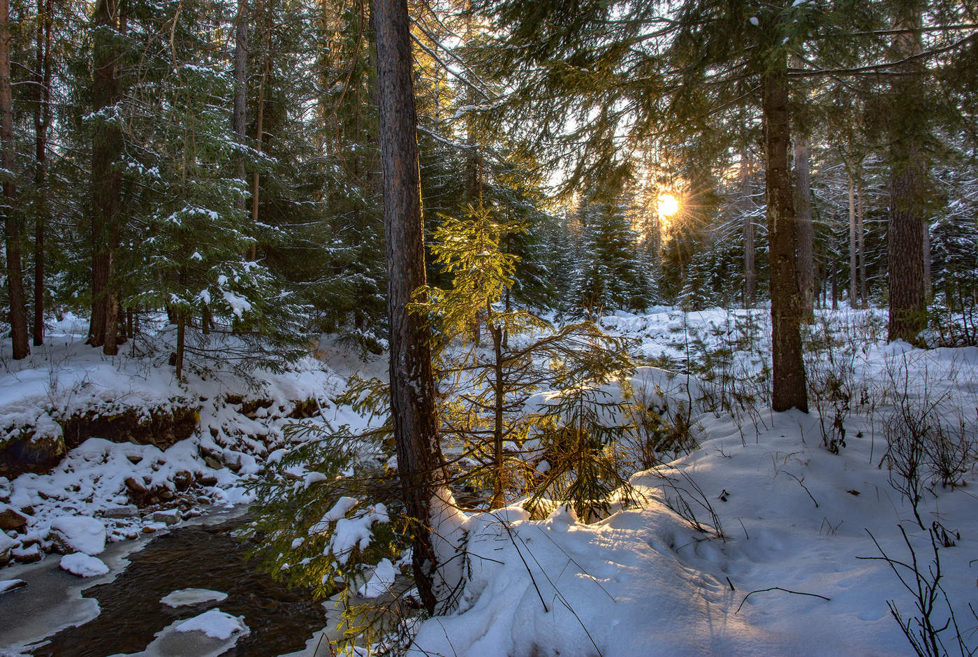 Солнца луч золотой