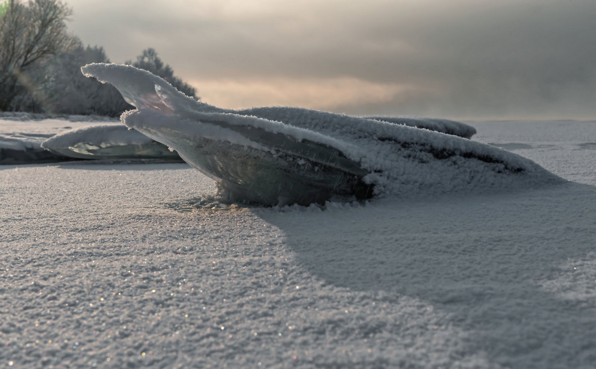 Ледяной пришелец...