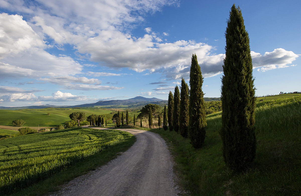 Прошлой весной