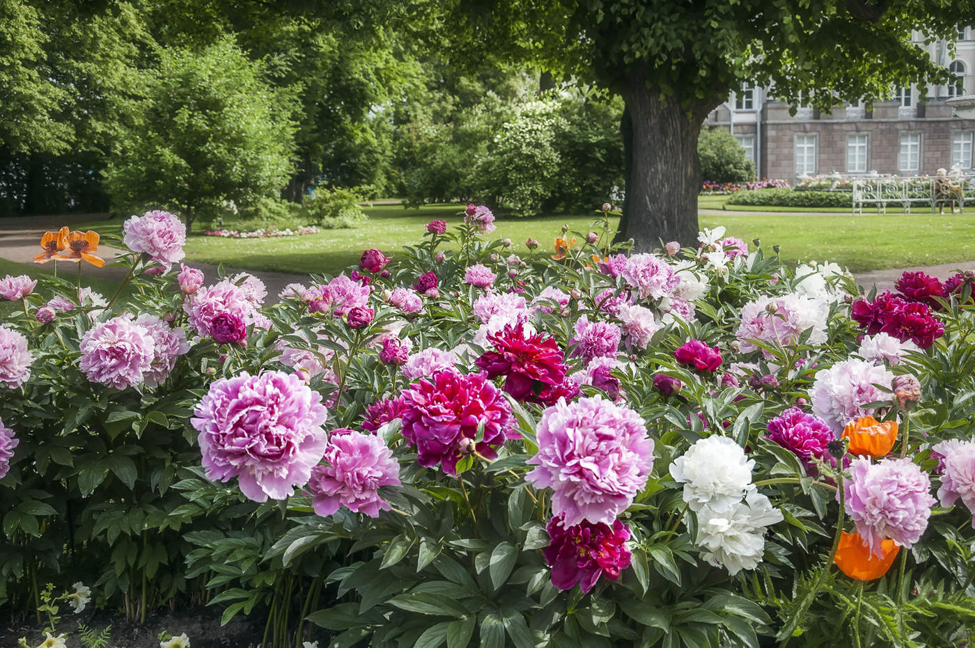 Всем на радость:)