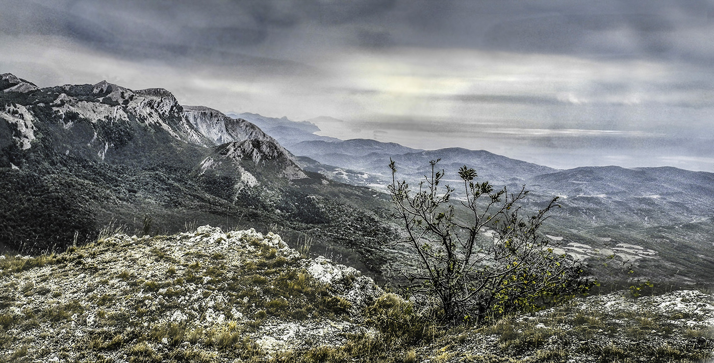 Пасмурный пейзаж с кустиком.