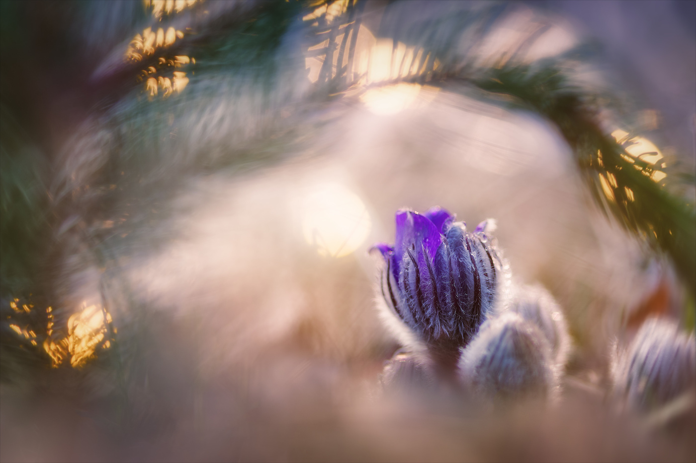 С надеждой на лучшее...