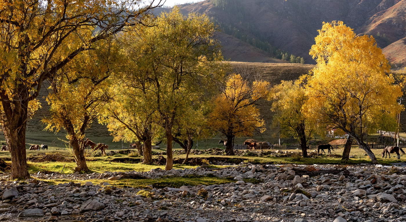 Обычный алтайский вечер