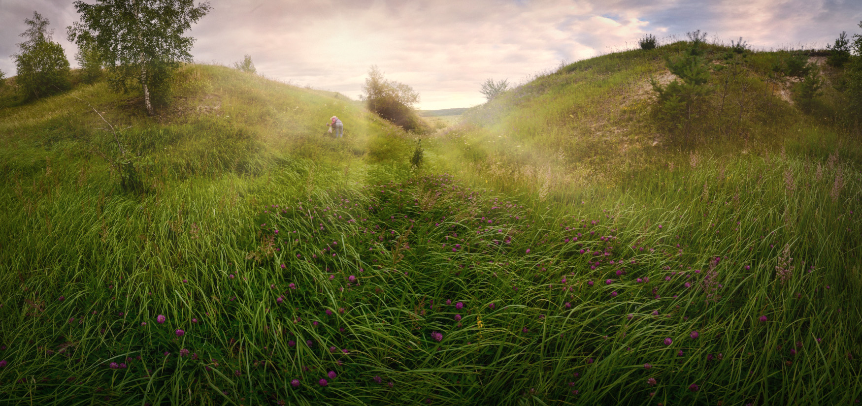 Время сбора трав...