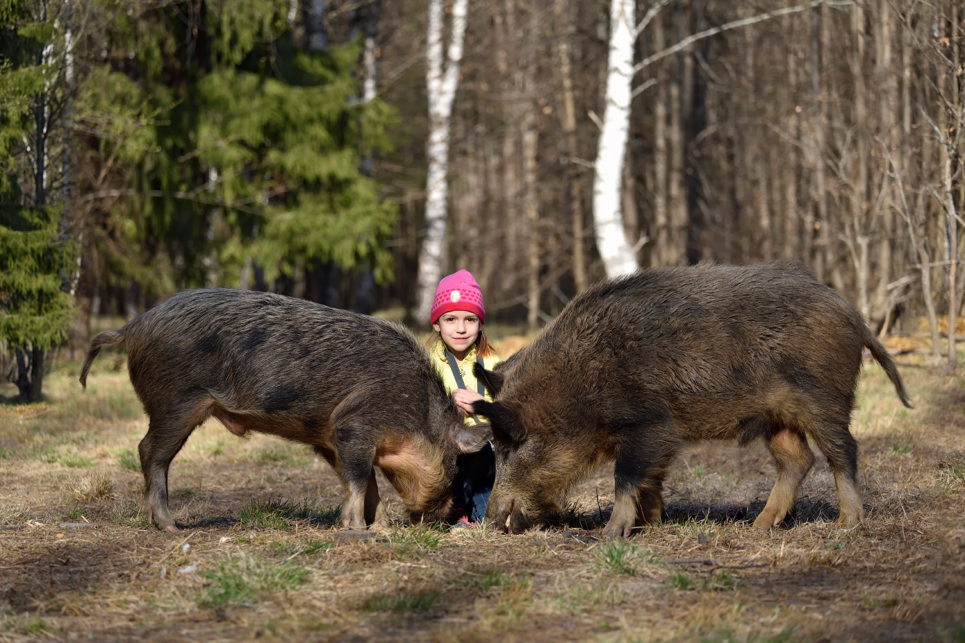 повелительница животных