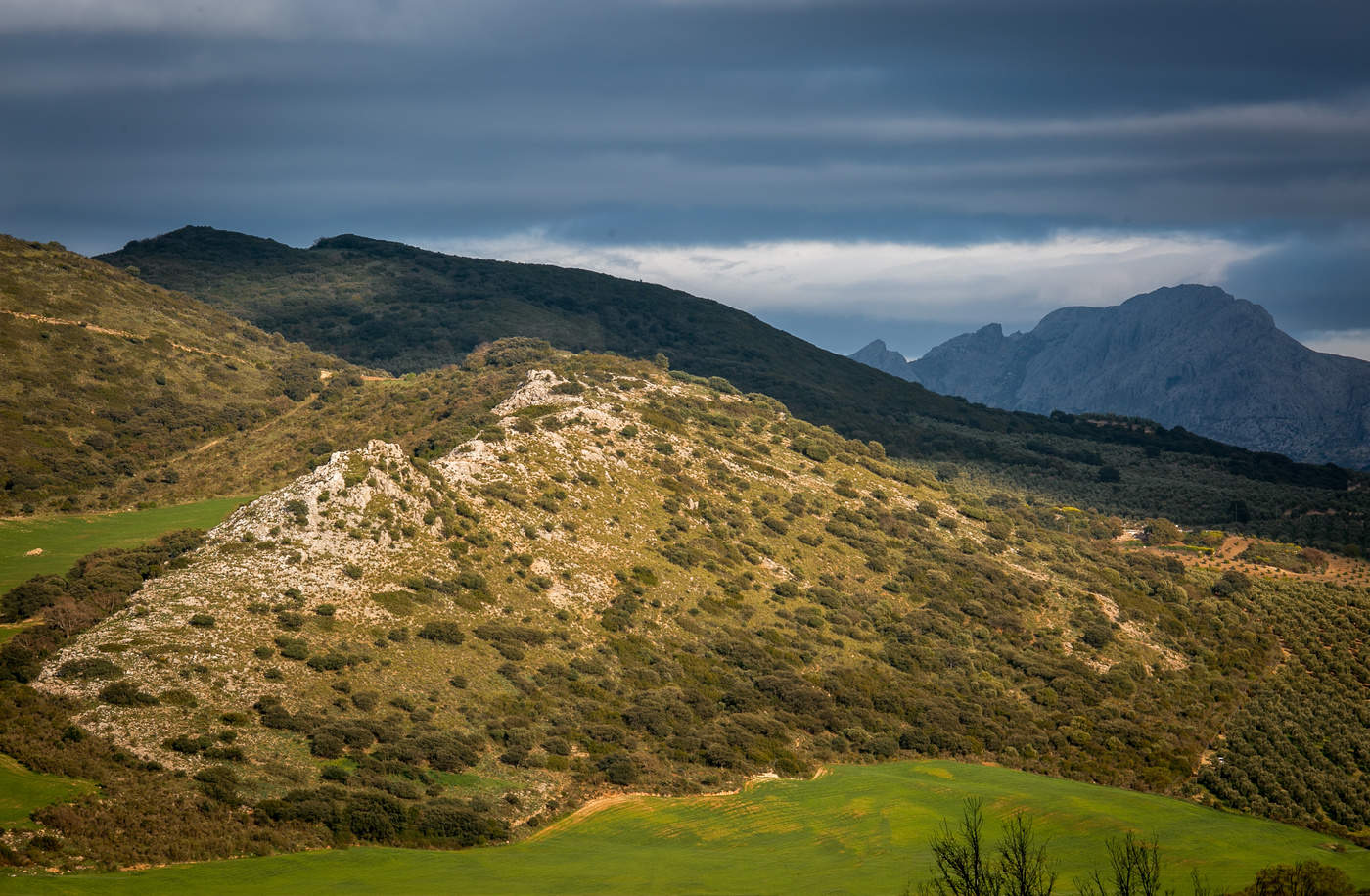 Вечерние горы