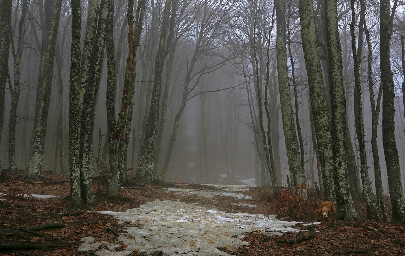 Предвесений Чатыр-Даг