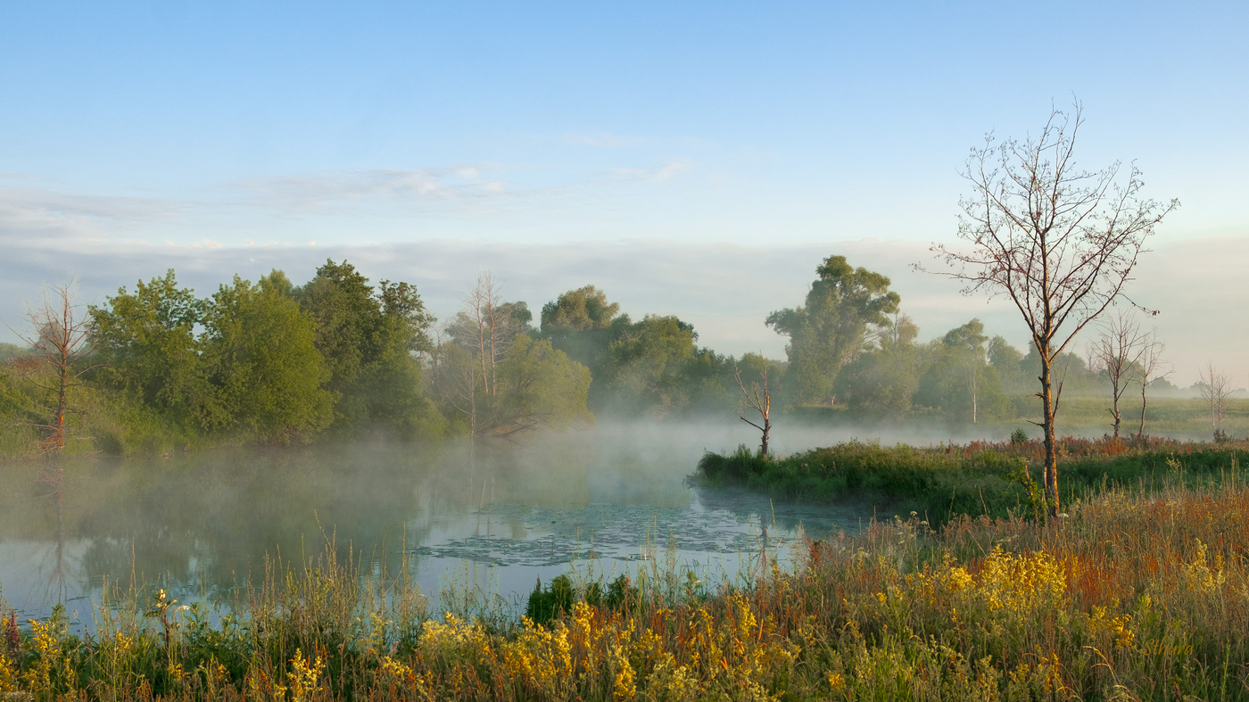 Летний Омут.