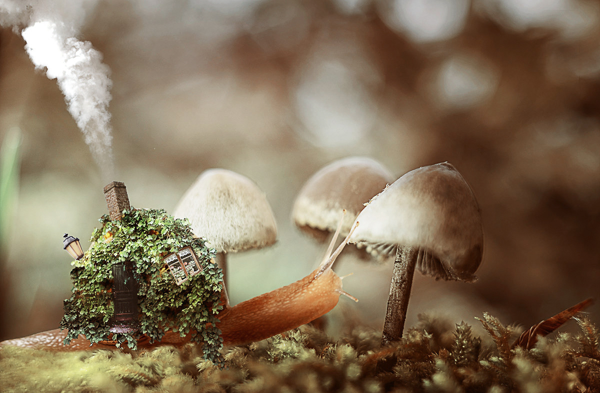 Счастье-это когда у тебя все дома и дом с собой....)