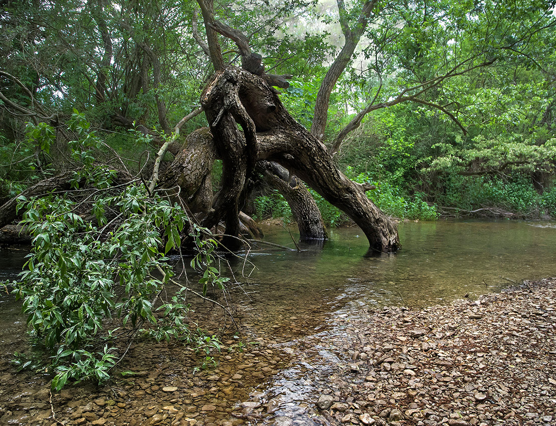 На неведанных речушках