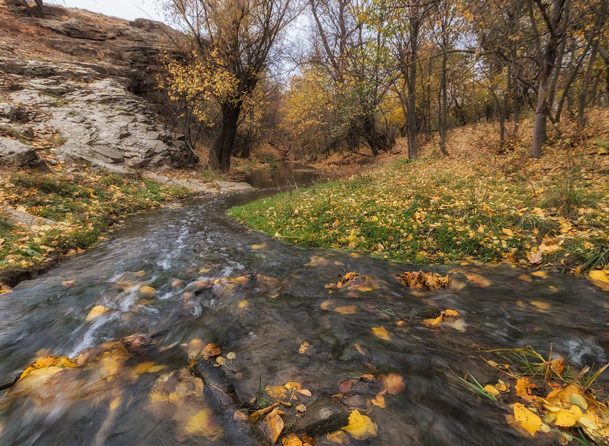 Течение осени