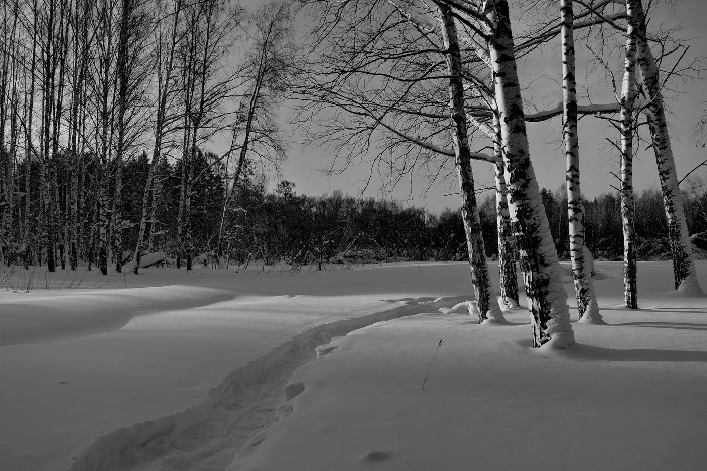Зимний вечер.