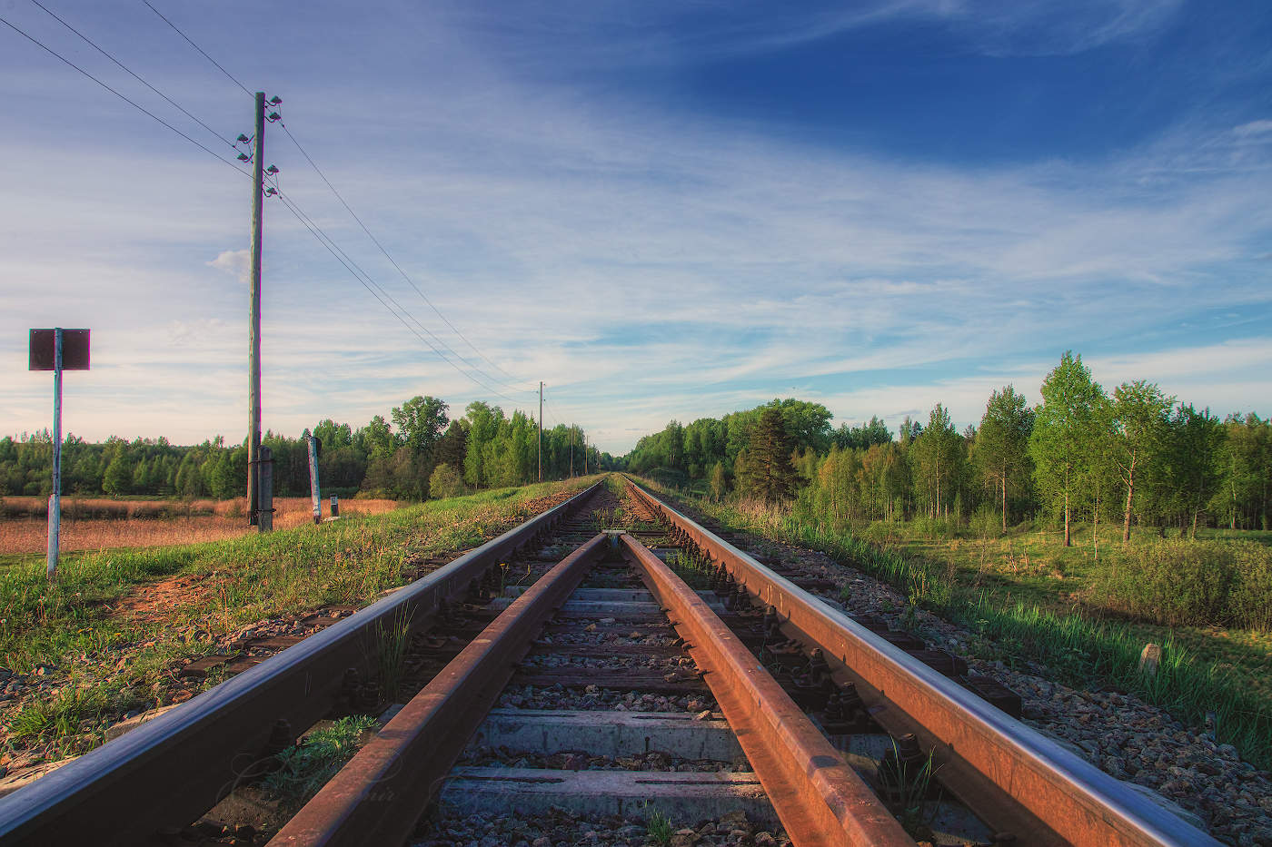 Дорога в лето