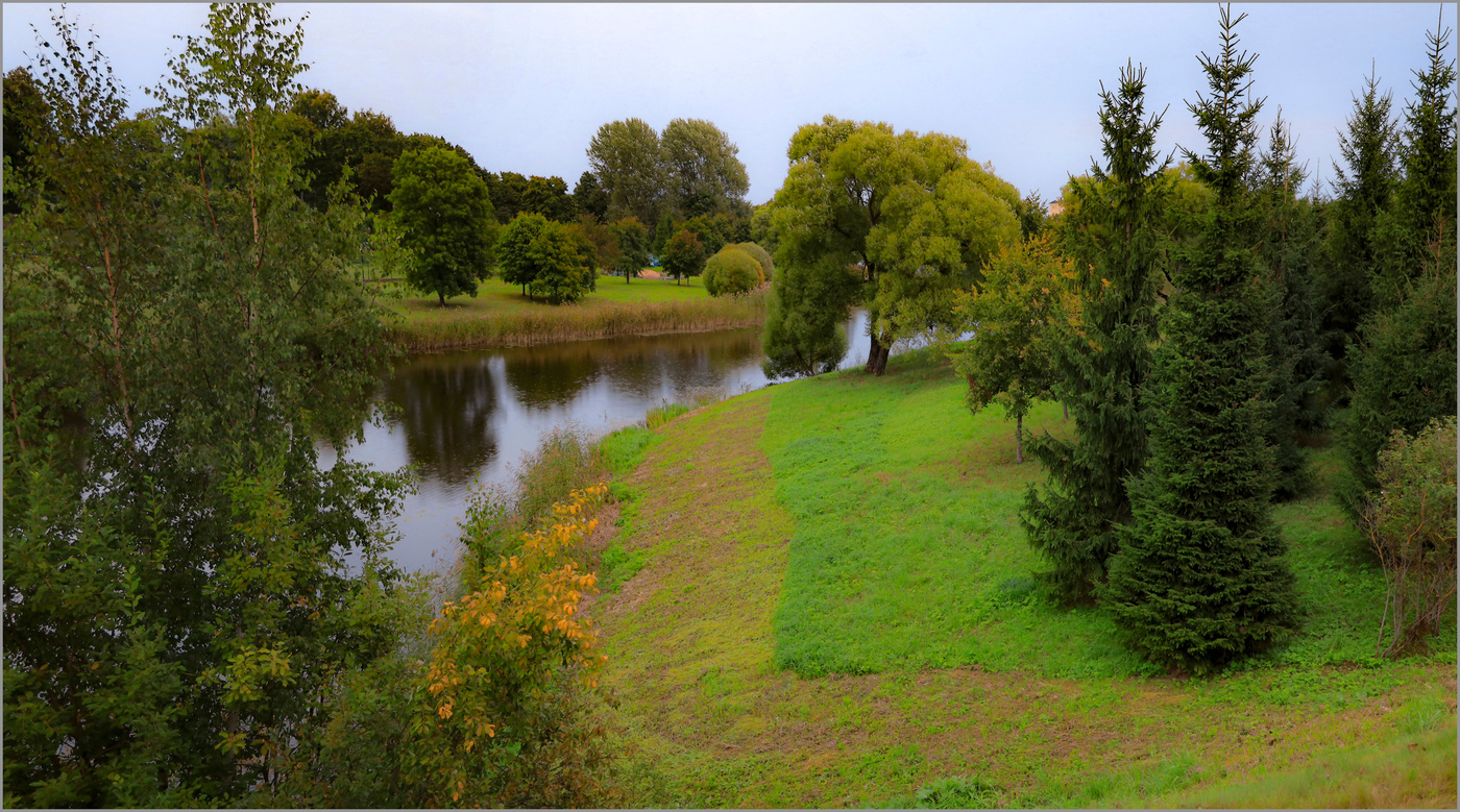 Шёл мелкий дождик