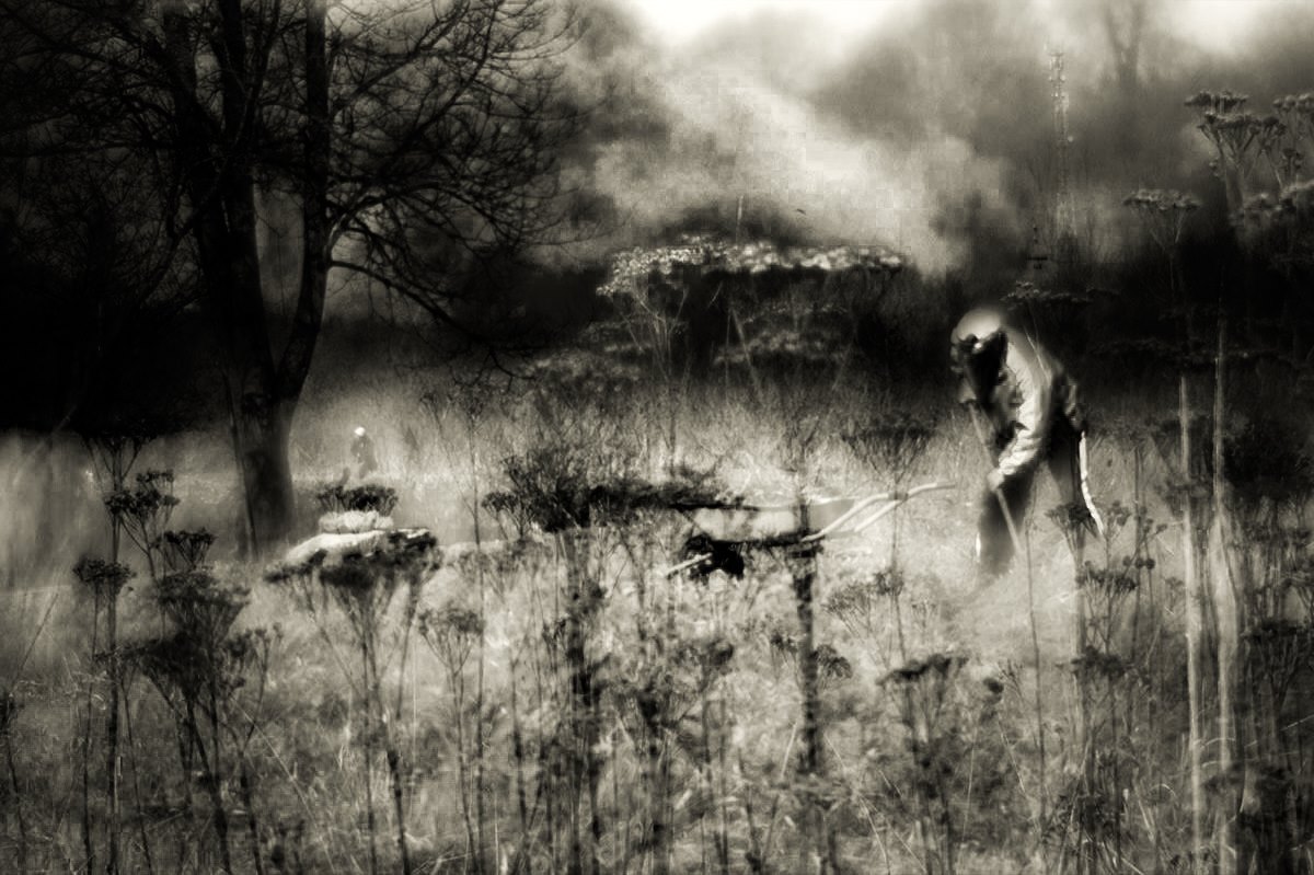 Вечный зов.