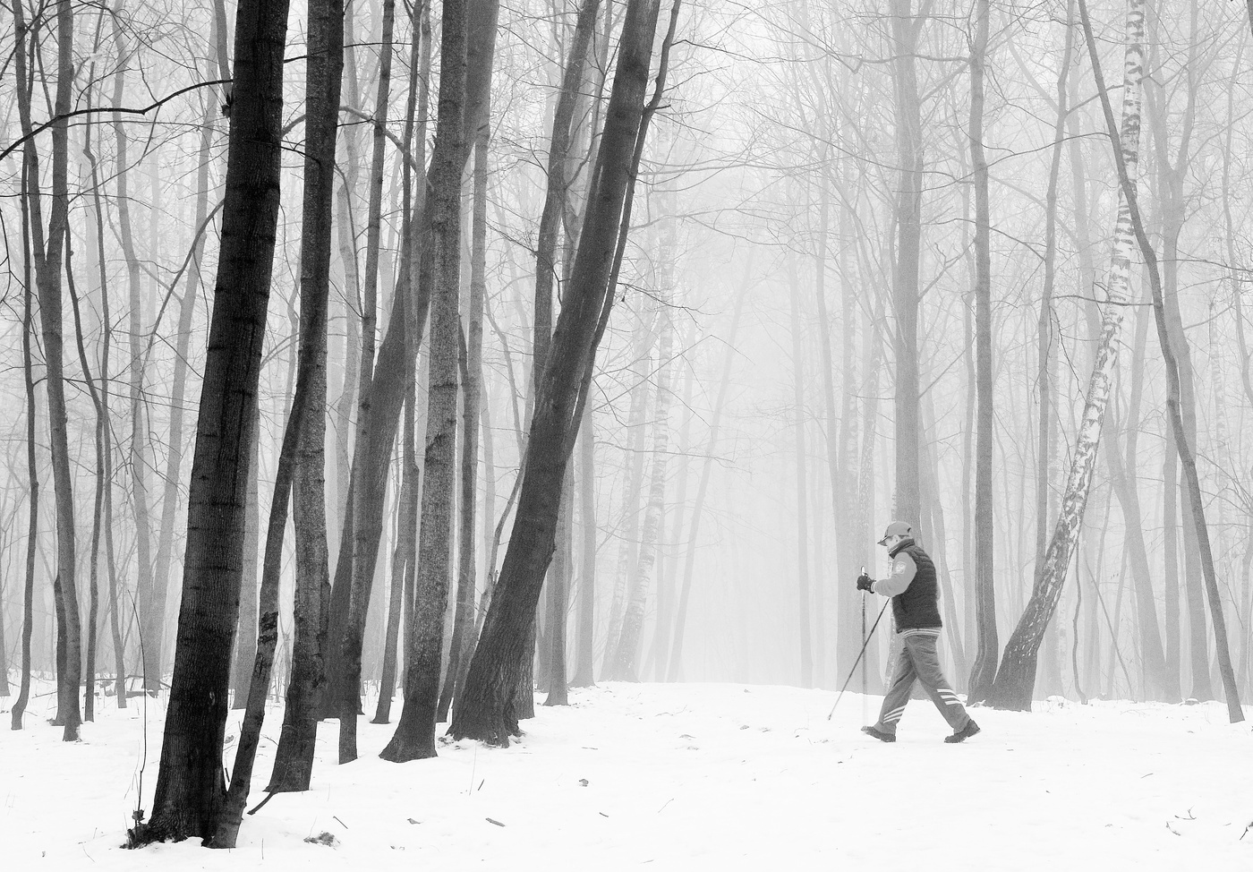 Туманным, зимним утром ...