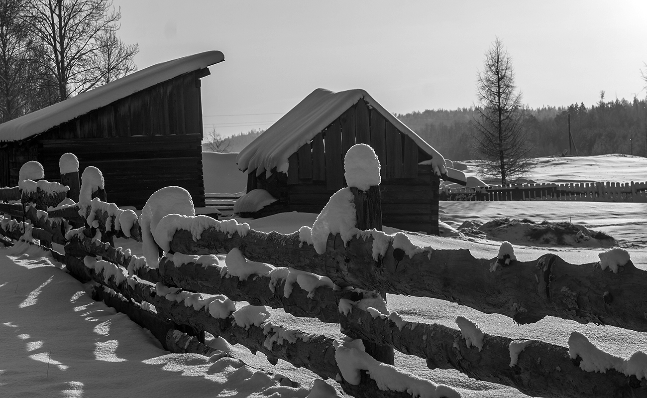 Из серии "Заборы"