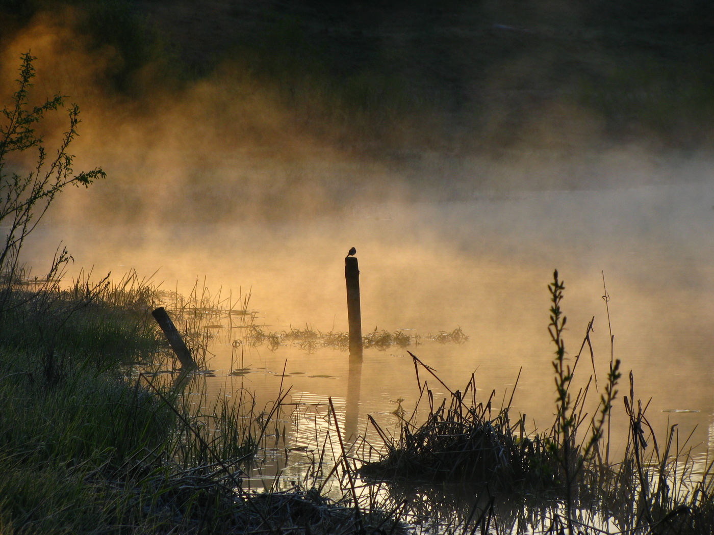 Теплое утро