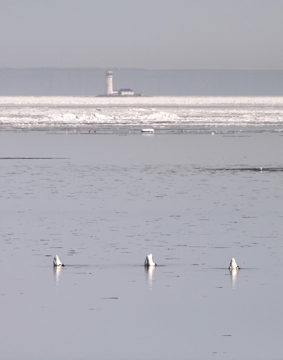 Под музыку Чайковского