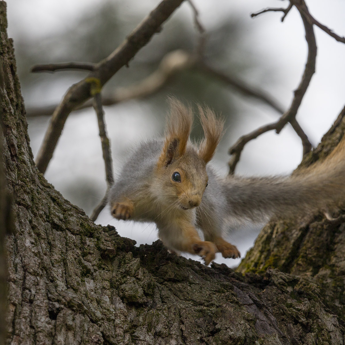 Притяженья больше нет