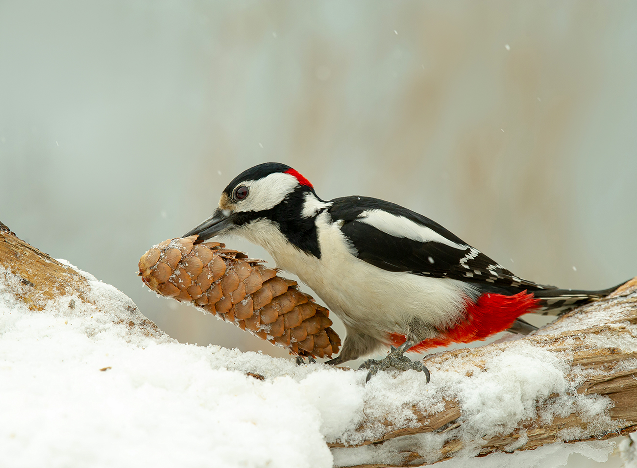 Последний день марта.