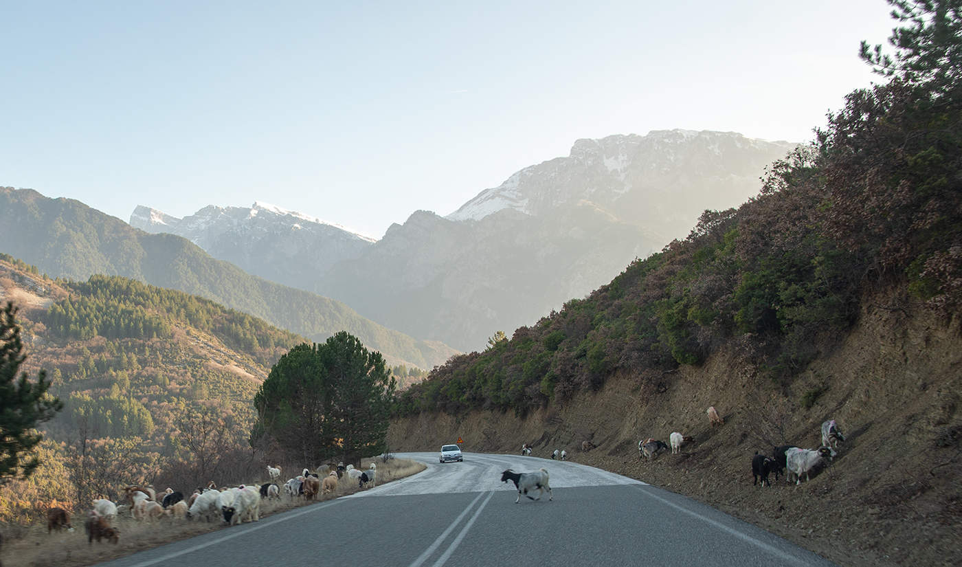 Когда-то давно