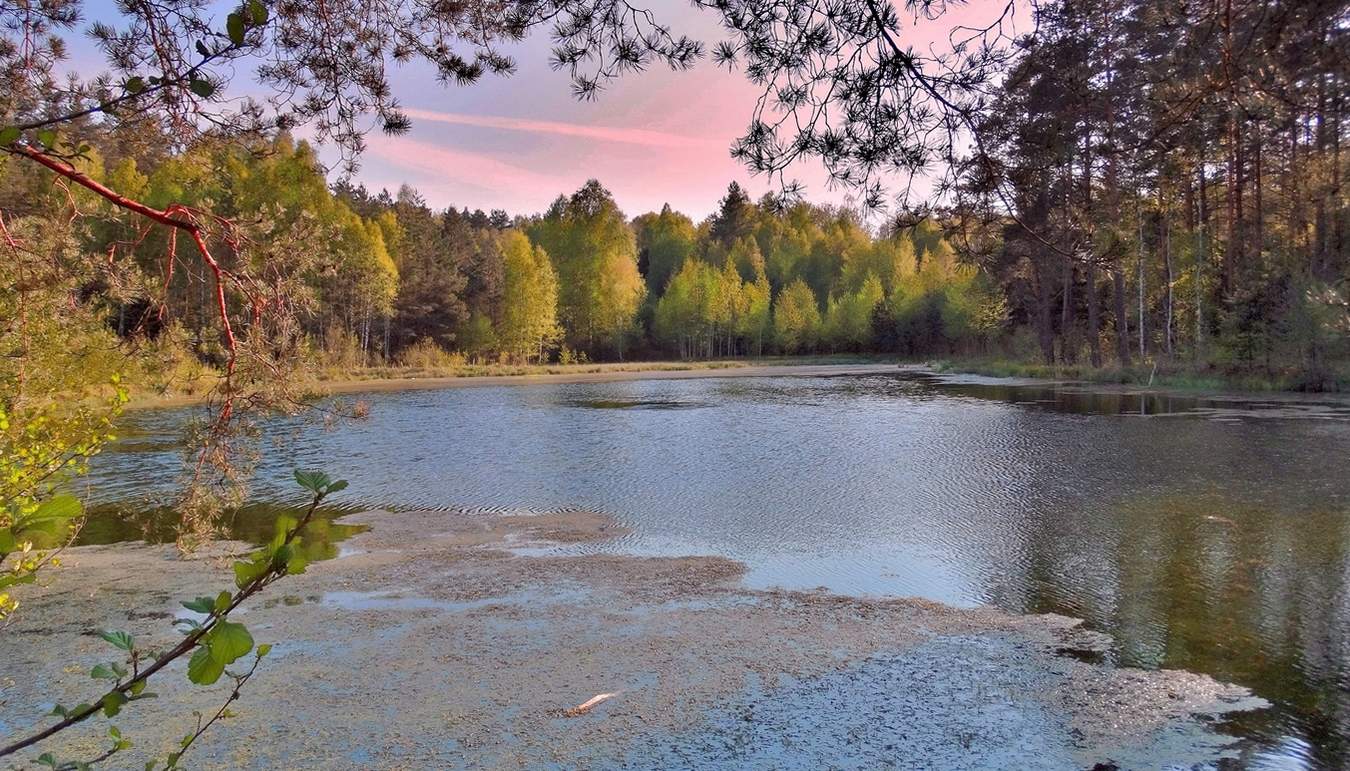 Окно в весну