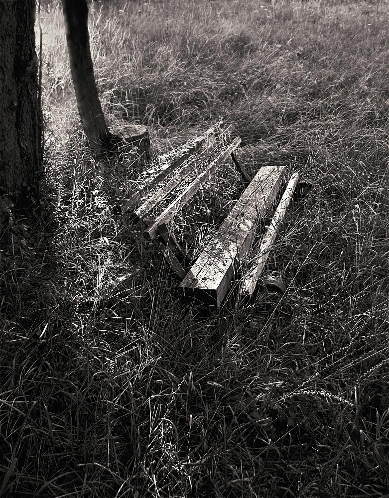 самоизоляция