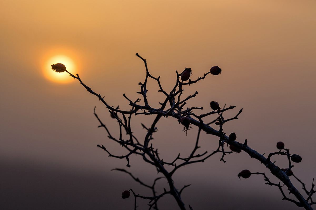 Утро в дымке