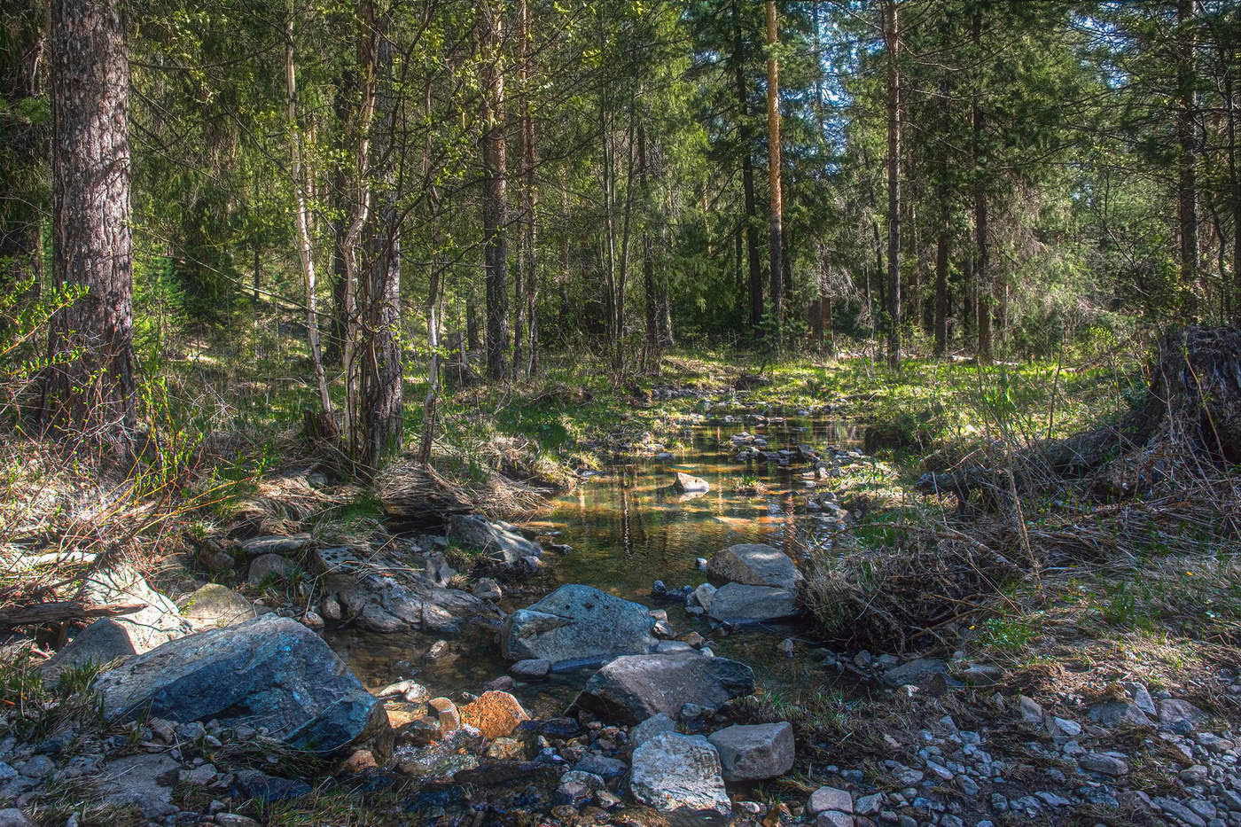 Лесной ручей