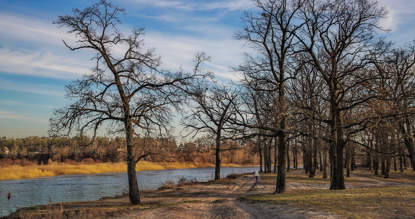 Проходила Весна по опушке ...