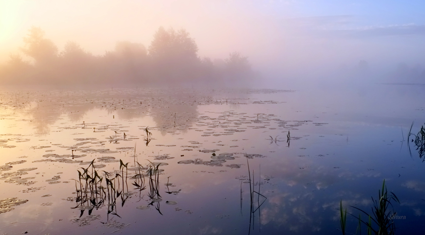 Летнее утро.